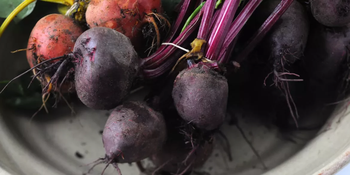 Beetroot
