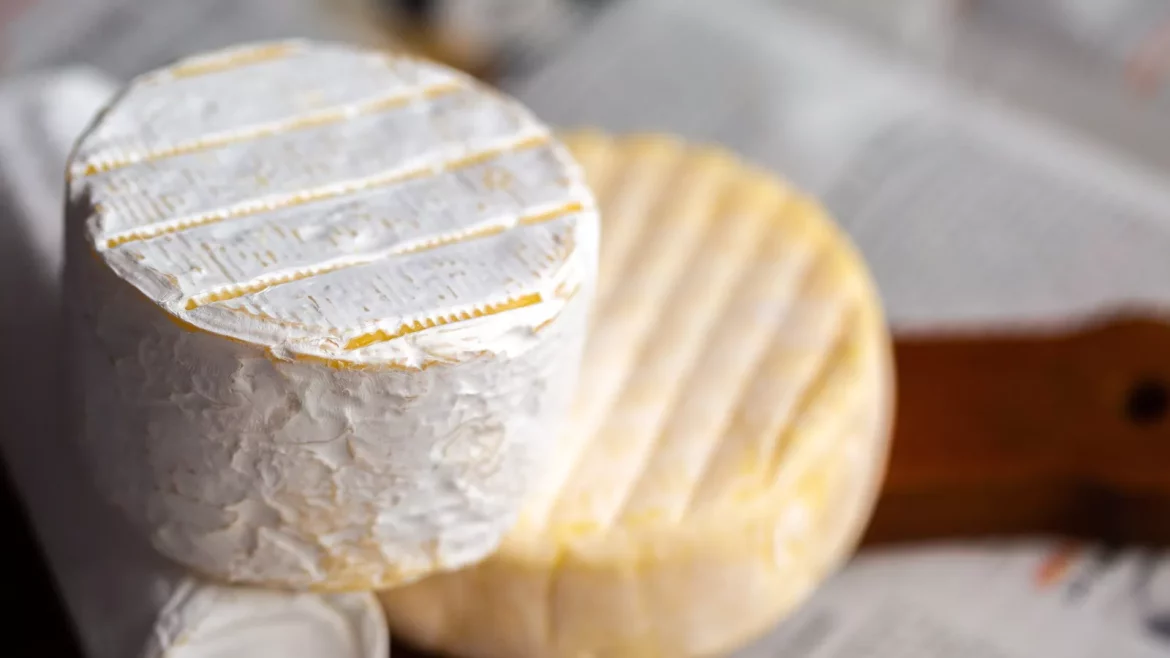 Cheese
