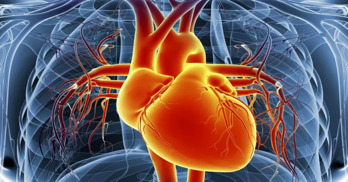 Inflamed Heart