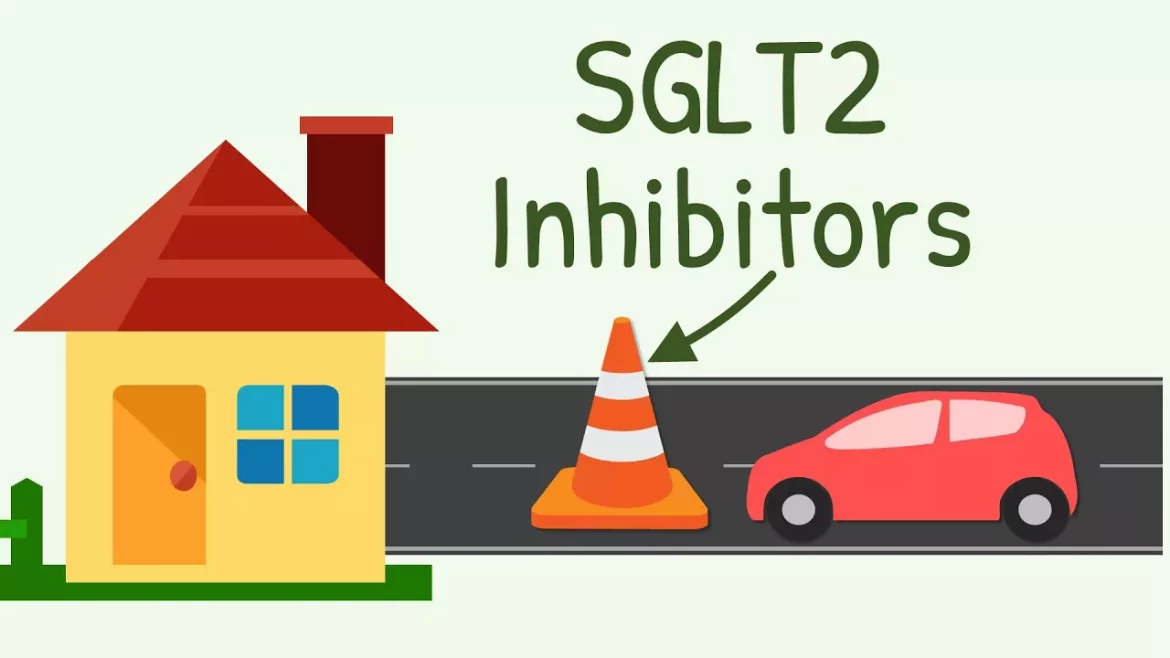 SGLT2 Inhibitors