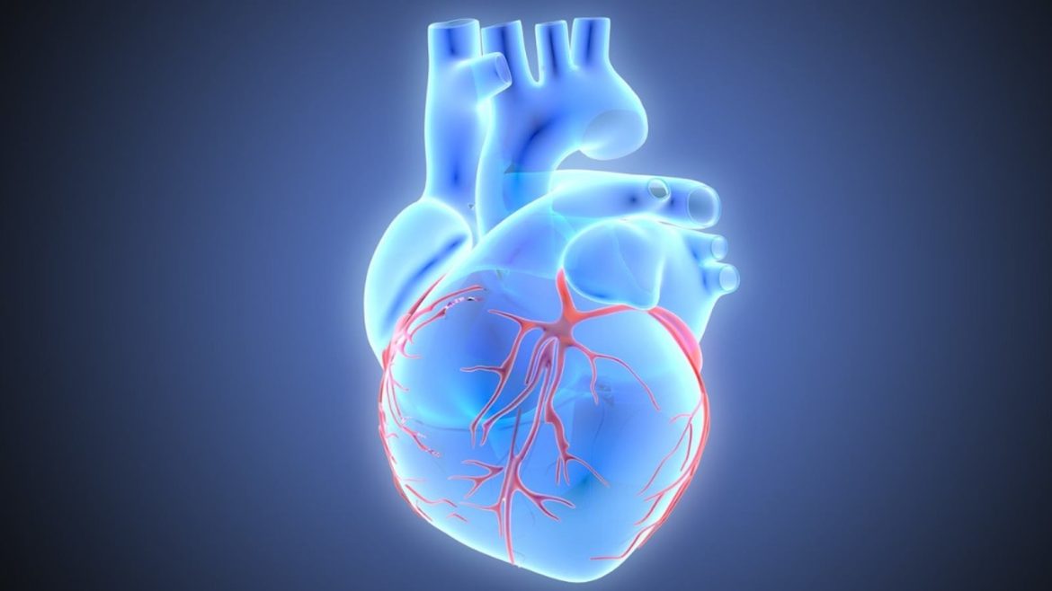 Cardiac Arrhythmias