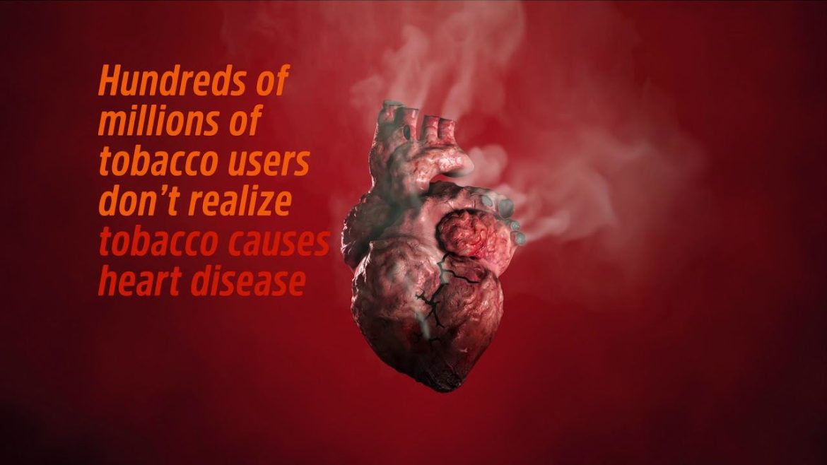 Smoking Cause Coronary Heart Disease